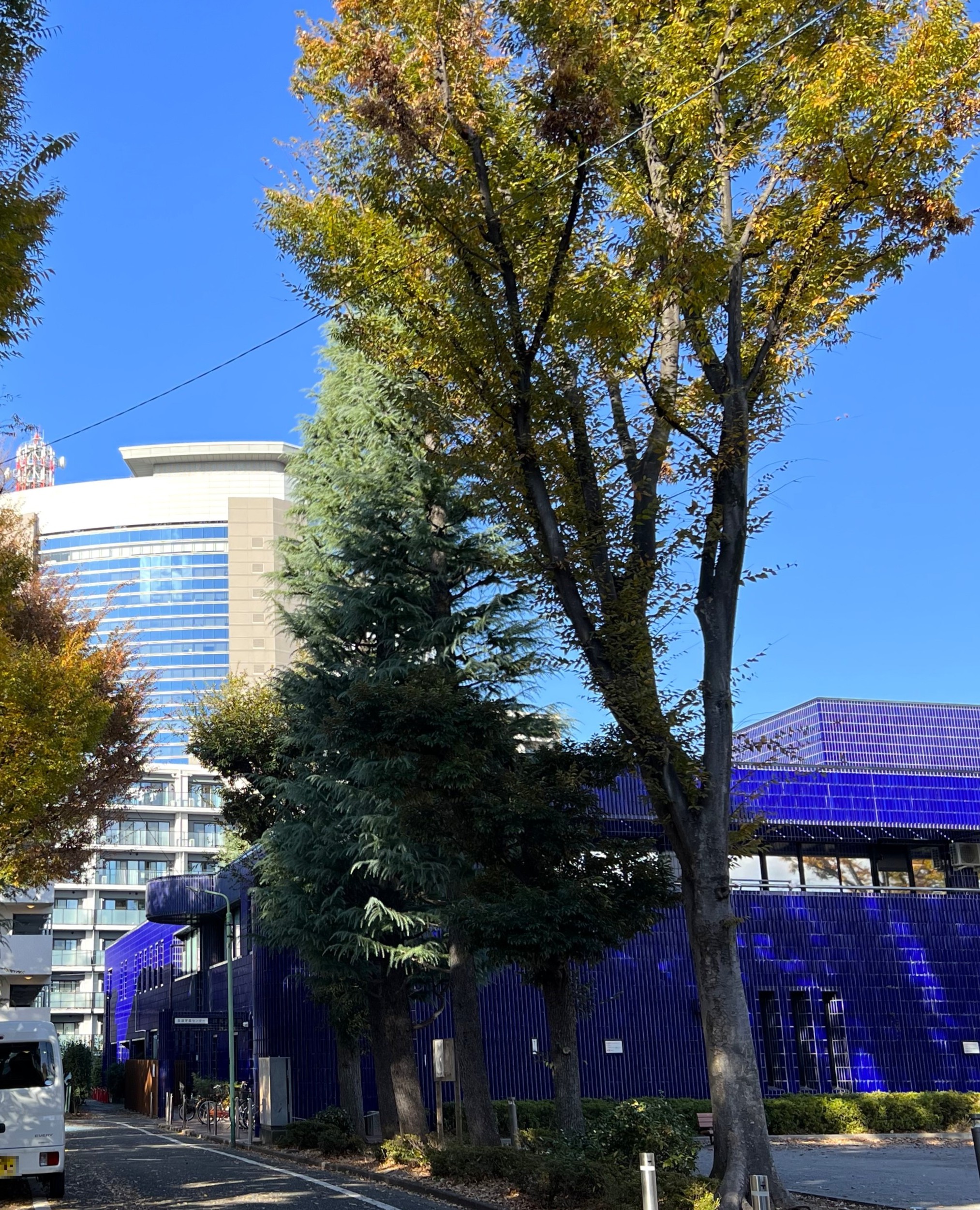 村木貴行 プロフィール写真